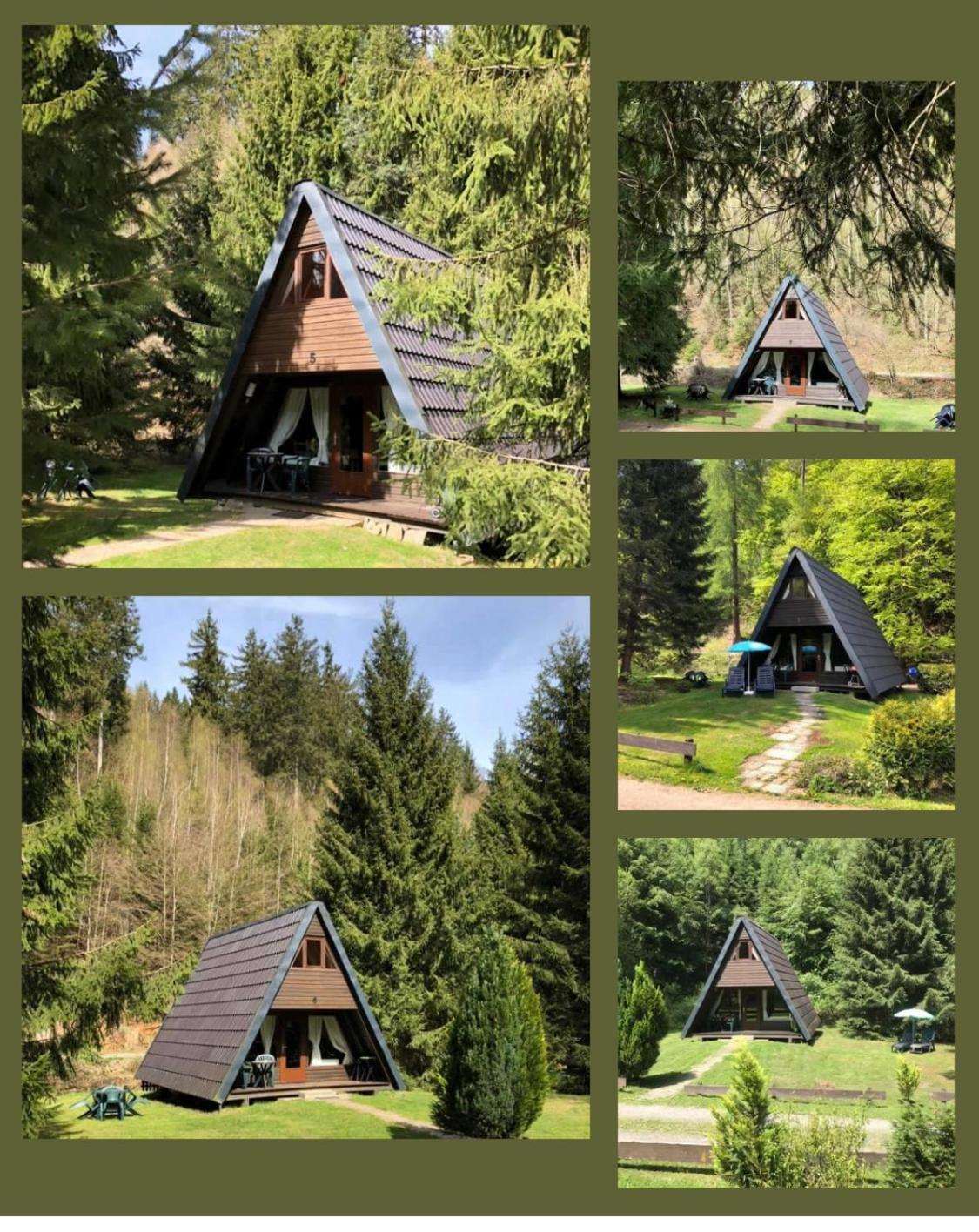 Ferienhaeuser Am Waldschloesschen Lautenthal エクステリア 写真