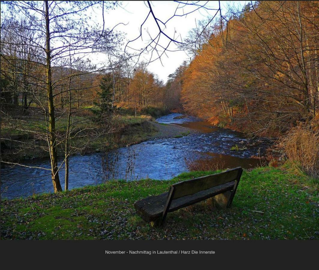 Ferienhaeuser Am Waldschloesschen Lautenthal エクステリア 写真